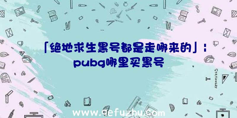 「绝地求生黑号都是走哪来的」|pubg哪里买黑号